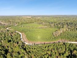 0 Cox Hollow Rd Dover, TN 37058