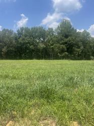 0 Summerlake Ct Winchester, TN 37398