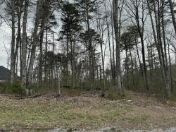 8216 Mountain Laurel Trail Signal Mountain, TN 37377