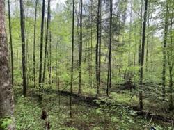102 Bear Den Trl Grandview, TN 37337