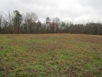 171 Sheep Ranch Rd Altamont, TN 37301