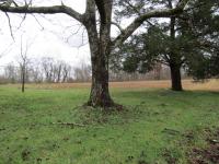 171 Sheep Ranch Rd Altamont, TN 37301