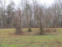 171 Sheep Ranch Rd Altamont, TN 37301