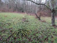 171 Sheep Ranch Rd Altamont, TN 37301
