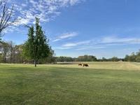 1110 Pomroy Rd Manchester, TN 37355