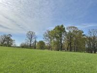 1110 Pomroy Rd Manchester, TN 37355