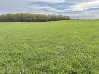 1110 Pomroy Rd Manchester, TN 37355
