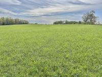 1110 Pomroy Rd Manchester, TN 37355