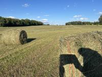 1110 Pomroy Rd Manchester, TN 37355
