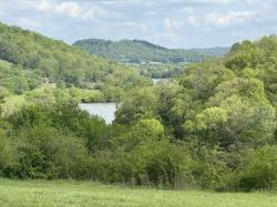 222 Cook Hollow Ln Pleasant Shade, TN 37145