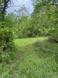 0 Panhandle Road Manchester, TN 37355