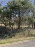0 Panhandle Road Manchester, TN 37355