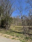 0 Panhandle Road Manchester, TN 37355