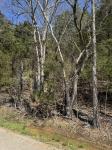 0 Panhandle Road Manchester, TN 37355