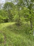 0 Panhandle Road Manchester, TN 37355