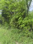 0 Panhandle Road Manchester, TN 37355