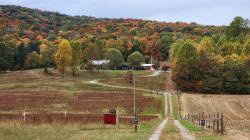 604 Oris Sain Rd Morrison, TN 37357