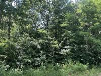 0 Kittrell Halls Hill Road Readyville, TN 37149