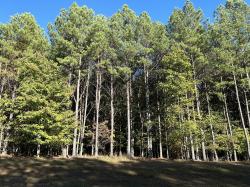 2035 Crockett Point Jasper, TN 37347