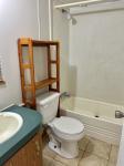 141 Milsap Rd Lynchburg, TN 37352