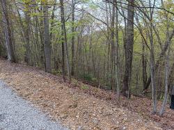 273 Tennis Center Drive Smithville, TN 37166