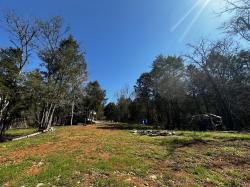 193 Dixon Ln Pleasant Shade, TN 37145