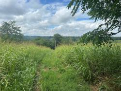 5A Young Hollow Road Belvidere, TN 37306