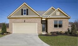 1321 Grassy Plains Pass Lewisburg, TN 37091