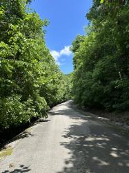 0 Shoreside Dr Smithville, TN 37166
