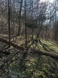 0 Sycamore Valley Rd Pleasant Shade, TN 37145