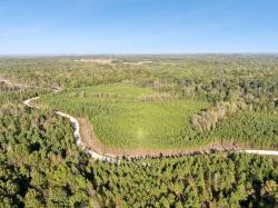 0 Cox Hollow Rd Dover, TN 37058