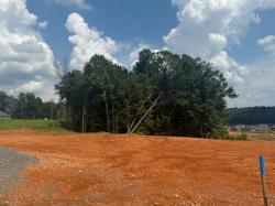 295 Cardinal Creek Clarksville, TN 37040