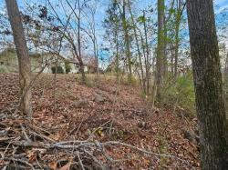 25 Countryside Drive Evensville, TN 37332