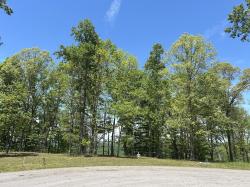 460 Volunteer Street Jasper, TN 37347