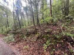 111 Bear Den Trl Grandview, TN 37337