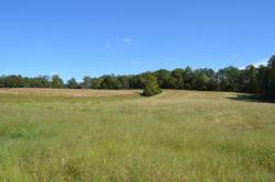 7 Hayes Ridge Rd Indian Mound, TN 37079