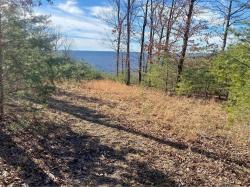 0 Coyote Trail Spencer, TN 38585