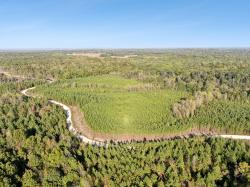 0 Cox Hollow Rd Dover, TN 37058