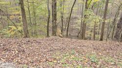 116 Lake View Dr Smithville, TN 37166