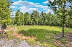1280 Soak Creek Ln Grandview, TN 37337