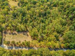 0 Primm Springs Road Tract #2 Lyles, TN 37098
