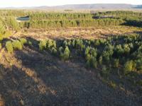 3161 Hickerson Road Manchester, TN 37355