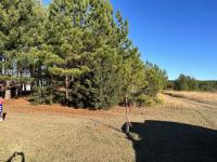 3161 Hickerson Road Manchester, TN 37355
