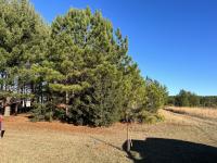 3161 Hickerson Road Manchester, TN 37355