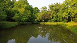 1441 Bradyville Hill Rd Bradyville, TN 37026