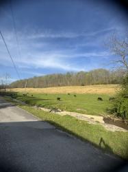 0 Tillman Hollow Road Wartrace, TN 37183