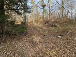7 Smyrna Road Evensville, TN 37332