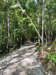 0 Summerlake Ct Winchester, TN 37398