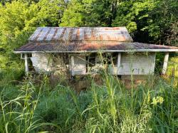 3013 Highway 120 Bumpus Mills, TN 37028