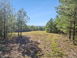 0 Cox Hillow Rd Dover, TN 37058
